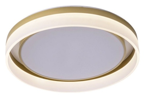 Накладной светильник Zortes Adel ZRS.1200.01 в Нижнем Новгороде фото 14