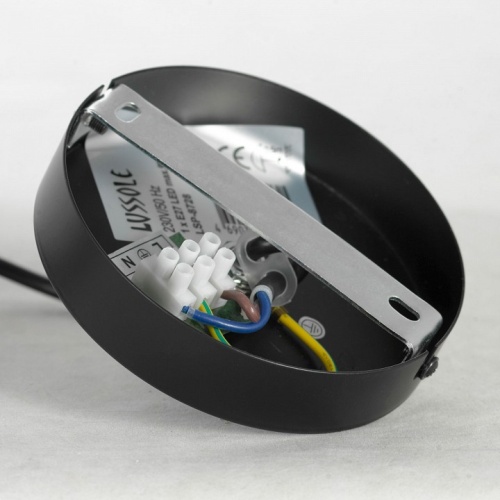 Подвесной светильник Lussole Clarksville GRLSP-8728 в Нижнем Новгороде фото 2