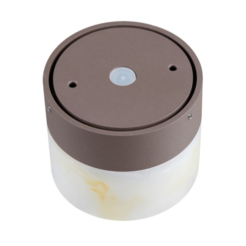 Накладной светильник Odeon Light NATURE 7190/6WL в Нижнем Новгороде фото 7