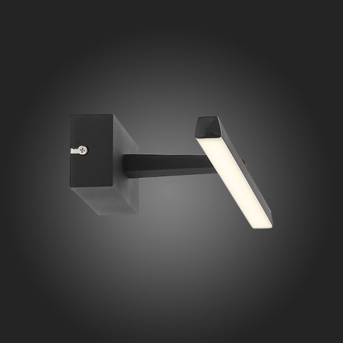 Подсветка для картины ST-Luce Mareto SL446.041.01 в Нижнем Новгороде фото 9