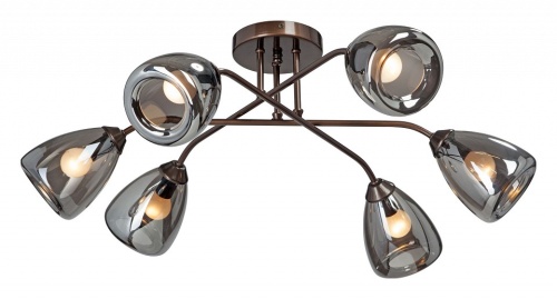 Потолочная люстра Vitaluce  V4955-7/6PL в Нижнем Новгороде