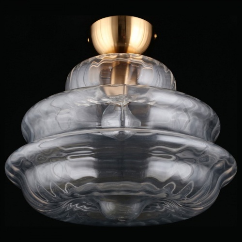 Накладной светильник Aployt Liana APL.303.07.01 в Нижнем Новгороде фото 2