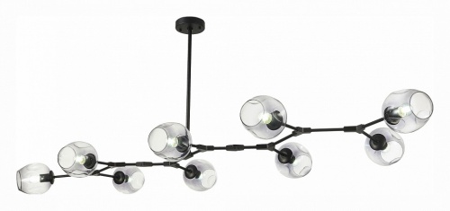 Подвесная люстра EVOLUCE Rametto SLE154843-09 в Нижнем Новгороде