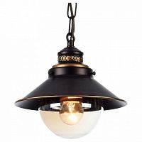 Подвесной светильник Arte Lamp Grazioso A4577SP-1CK в Дудинке