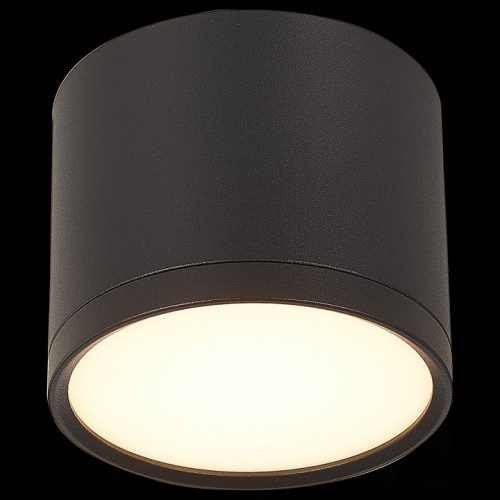Накладной светильник ST-Luce Rene ST113.432.09 в Кропоткине фото 4