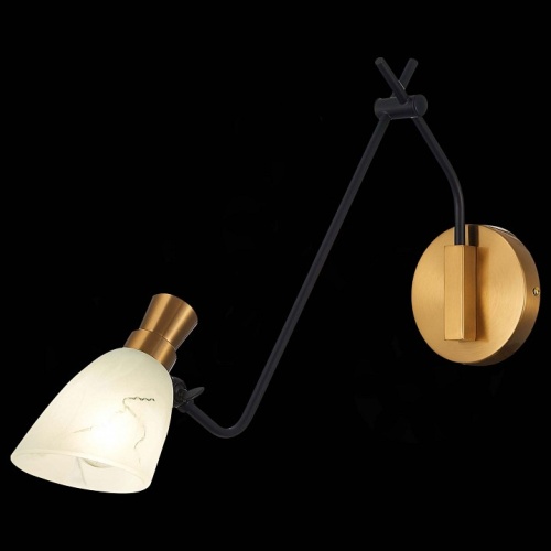 Бра EVOLUCE Lita SLE205401-01 в Нижнем Новгороде фото 3