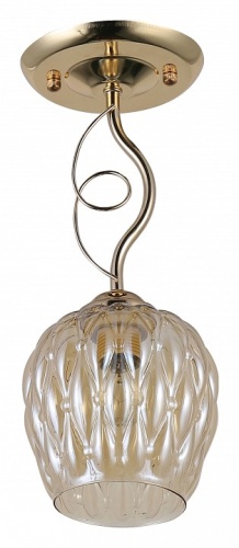 Светильник на штанге Rivoli Daiane Б0054740 в Нижнем Новгороде