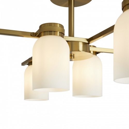 Люстра на штанге Freya Kamelia FR5446PL-06BS в Нижнем Новгороде фото 2