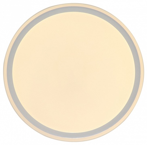 Накладной светильник Zortes Bella ZRS.1200.07 в Нижнем Новгороде фото 2