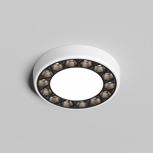 Встраиваемый светильник Denkirs DUAL DK2441-WB в Нижнем Новгороде фото 6