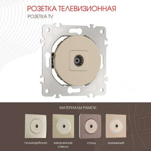 ТВ-розетка без рамки Arte Milano am-202 202.43-1.shampan в Нижнем Новгороде фото 7