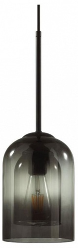 Подвесной светильник Lumion Boris 5281/1 в Туле