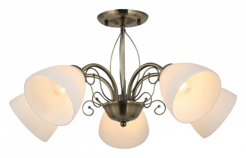 Люстра на штанге Rivoli Sue Б0060986 в Нижнем Новгороде фото 2