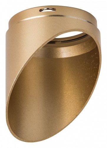 Кольцо декоративное Lightstar Rullo 201440 в Дудинке