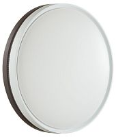 Накладной светильник Sonex PALE 7651/ELN в Нижнем Новгороде