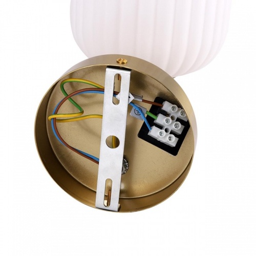 Бра Lumion ALEGRA 8334/1W в Нижнем Новгороде фото 2