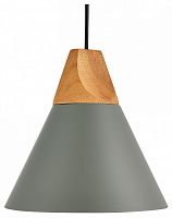 Подвесной светильник EVOLUCE Modica SLE125113-01 в Нижнем Новгороде