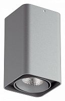 Накладной светильник Lightstar Monocco 052139-IP65 в Соколе
