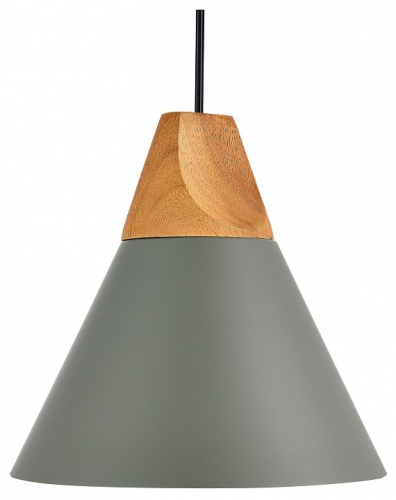 Подвесной светильник EVOLUCE Modica SLE125113-01 в Нижнем Новгороде