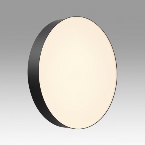 Накладной светильник Sonex BASICA 7780/ELN в Нижнем Новгороде фото 6