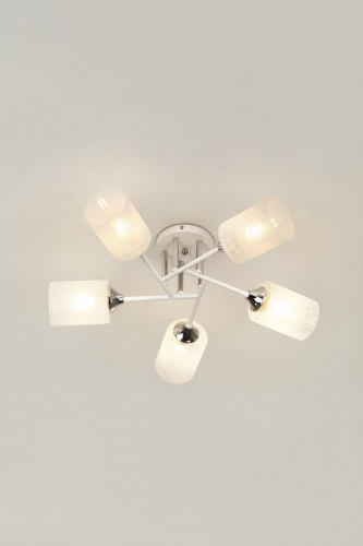 Потолочная люстра Rivoli Federica Б0068392 в Нижнем Новгороде фото 8