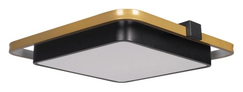 Накладной светильник Loft it Mike 10171 в Нижнем Новгороде фото 4