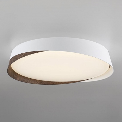 Накладной светильник Citilux BONNY CL754350G в Нижнем Новгороде фото 13