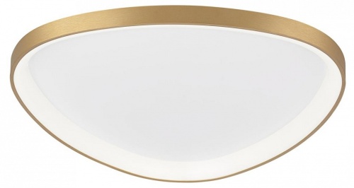 Накладной светильник Citilux GENKA SMART CL756A162 в Нижнем Новгороде фото 9