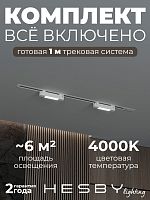 Комплект трековый Hesby Lighting №1 однофазная накладная Skylite HSBL_kompl_S001_VI1W4K в Нижнем Новгороде