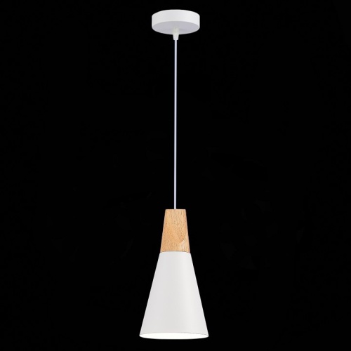 Подвесной светильник EVOLUCE Modica SLE125153-01 в Нижнем Новгороде фото 4