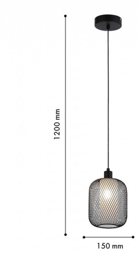 Подвесной светильник F-promo Tokri 4602-1P в Нижнем Новгороде фото 5