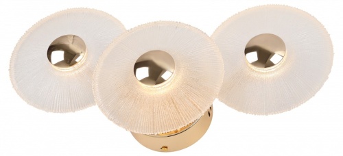 Накладной светильник Rivoli Helena Б0061946 в Нижнем Новгороде фото 3