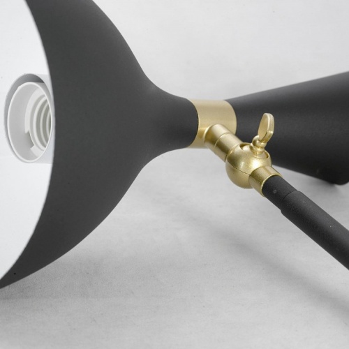 Торшер Lussole LSP-062 LSP-0626 в Нижнем Новгороде фото 4