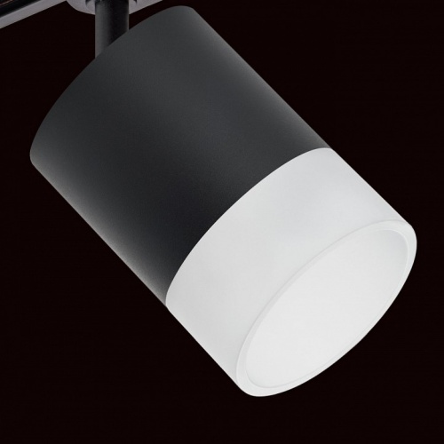 Светильник на штанге Lightstar Rullo R1T348781 в Нижнем Новгороде фото 2