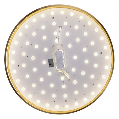 Накладной светильник Zortes Monna ZRS.1209.12 в Нижнем Новгороде фото 6