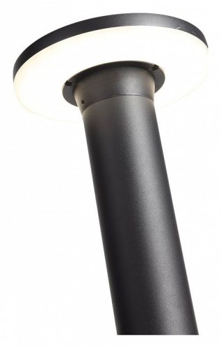 Наземный высокий светильник ST-Luce Contario SL087.415.01 в Арзамасе фото 5
