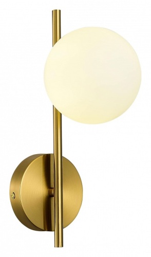 Бра EVOLUCE ENKEL SLE1193-301-01 в Нижнем Новгороде фото 2