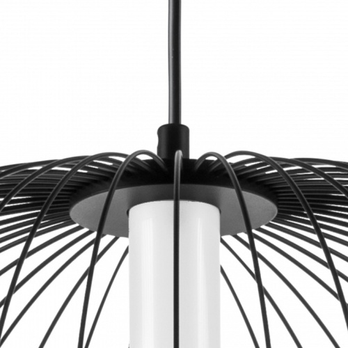 Подвесной светильник Lightstar Sole 734067 в Нижнем Новгороде фото 11