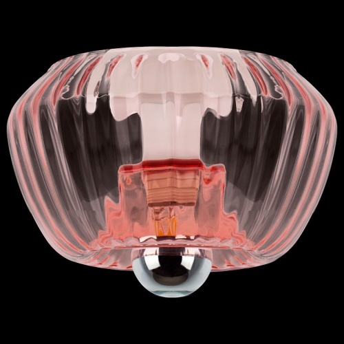 Накладной светильник Lightstar Celesta 809002 в Нижнем Новгороде фото 7