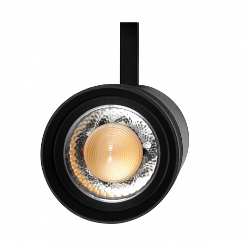 Светильник на штанге Lightstar Canno Pro 304307 в Нижнем Новгороде фото 2