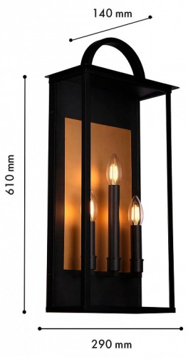 Накладной светильник Favourite Lume 4299-3W в Нижнем Новгороде фото 2