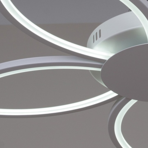 Потолочная люстра 09877-0.3-05 WH в Нижнем Новгороде фото 2