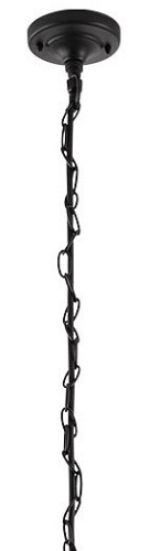 Подвесной светильник Arte Lamp Belfast A4569SO-1BK в Нижнем Новгороде фото 3