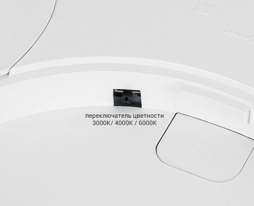 Накладной светильник Italline IT011 IT011-5020 black в Нижнем Новгороде фото 2