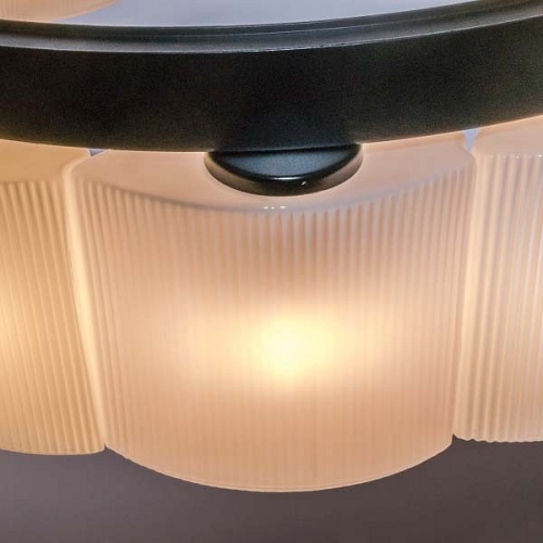 Подвесной светильник Lightstar Nibbler 812186 в Нижнем Новгороде фото 2