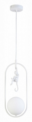 Подвесной светильник EVOLUCE Tenato SLE115123-01 в Нижнем Новгороде фото 10