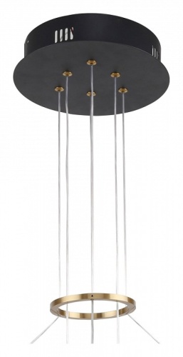 Подвесная люстра F-promo Daur 3097-7P в Нижнем Новгороде фото 2