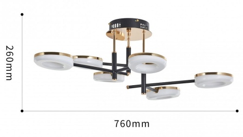 Потолочная люстра Arte Milano Ferrara-72999 272999/6 BK/GD в Нижнем Новгороде фото 8