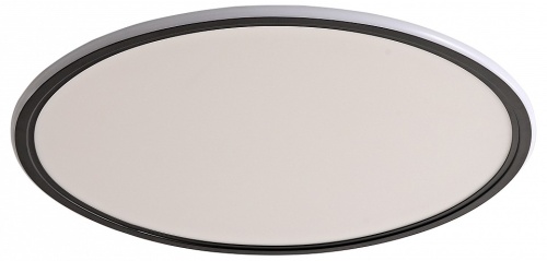 Накладной светильник Zortes Galo ZRS.10112.07 в Нижнем Новгороде