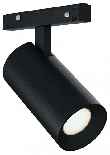 Светильник на штанге ST-Luce SKYLINE 48+ ST3365.446.15_SH_R в Нижнем Новгороде